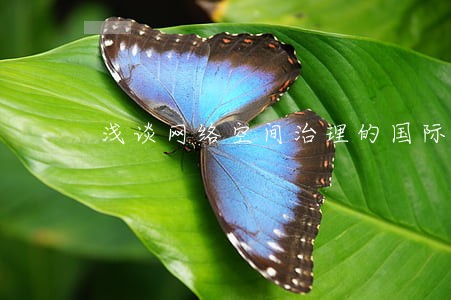 浅谈网络空间治理的国际法共识 浅谈网络空间治理的国际法共识