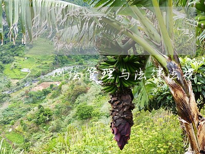测绘管理与法律法规心得体会