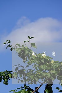 测试自己会不会离婚吉凶 测试自己会不会离婚吉凶