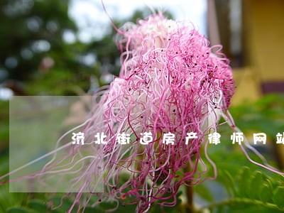 济北街道房产律师网站 济北街道房产律师网站