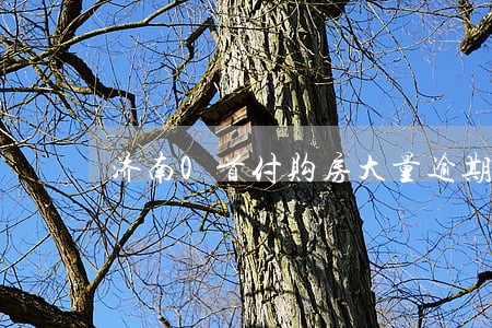 济南0首付购房大量逾期 济南0首付购房大量逾期