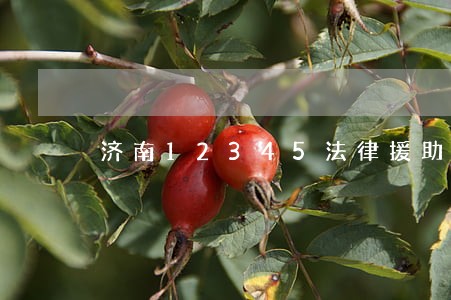 济南12345法律援助 济南12345法律援助