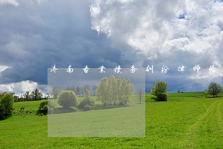 济南专业债务纠纷律师价格 济南专业债务纠纷律师价格