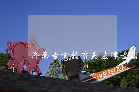 济南专业的有关法律咨询 济南专业的有关法律咨询