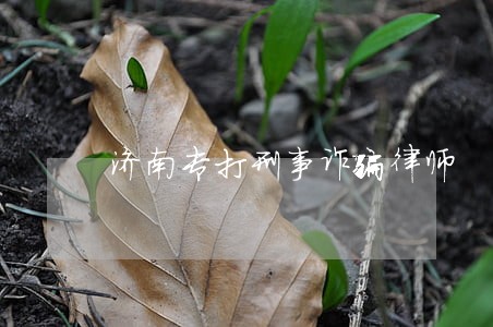 济南专打刑事诈骗律师 济南专打刑事诈骗律师