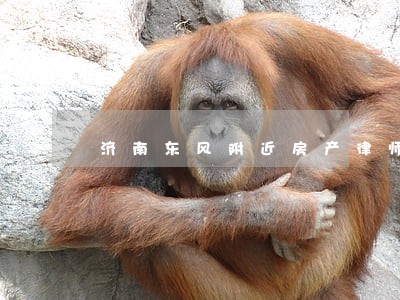 济南东风附近房产律师 济南东风附近房产律师