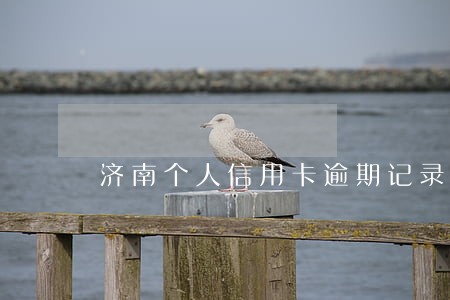 济南个人信用卡逾期记录消除