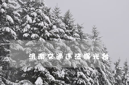 济南交通违法曝光台 济南交通违法曝光台