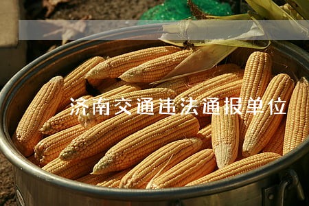 济南交通违法通报单位 济南交通违法通报单位