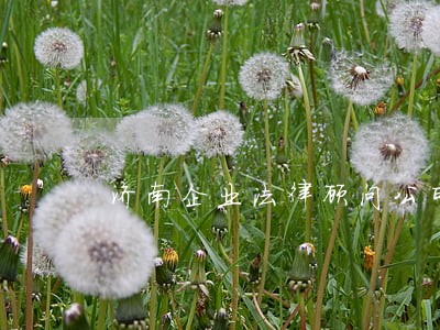 济南企业法律顾问公司 济南企业法律顾问公司