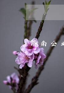 济南企业法律顾问电话 济南企业法律顾问电话