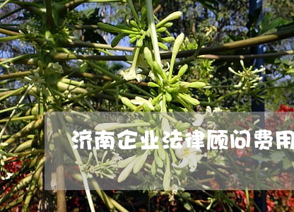 济南企业法律顾问费用 济南企业法律顾问费用