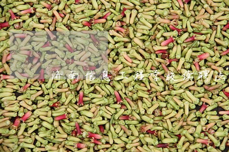济南信息工程学校续聘法律顾问 济南信息工程学校续聘法律顾问