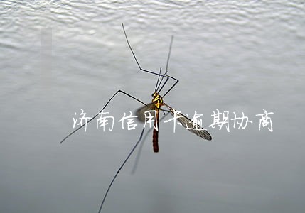 济南信用卡逾期协商 济南信用卡逾期协商