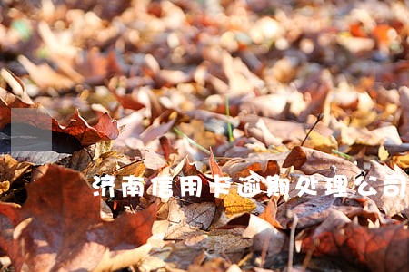 济南信用卡逾期处理公司 济南信用卡逾期处理公司
