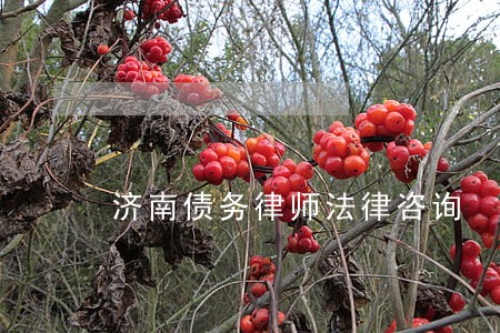 济南债务律师法律咨询 济南债务律师法律咨询
