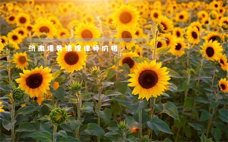 济南债务清理律师价格 济南债务清理律师价格