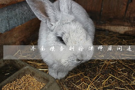 济南债务纠纷律师顾问违约 济南债务纠纷律师顾问违约