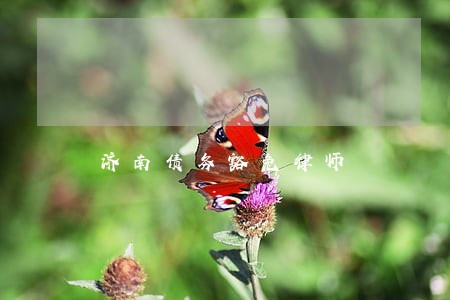 济南债务豁免律师 济南债务豁免律师