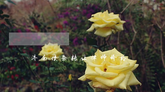 济南债务转让律师价格 济南债务转让律师价格