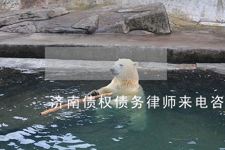 济南债权债务律师来电咨询 济南债权债务律师来电咨询