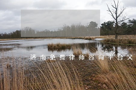 济南免费律师咨询平台父女关系 济南免费律师咨询平台父女关系