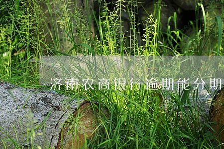 济南农商银行逾期能分期吗 济南农商银行逾期能分期吗