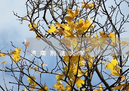 济南刑法大学 济南刑法大学