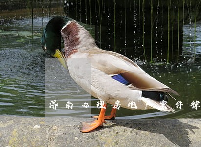 济南办理房地产案件律师 济南办理房地产案件律师
