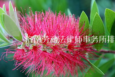 济南劳动法律师事务所排行 济南劳动法律师事务所排行