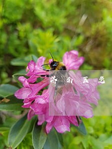 济南医患纠纷律师费用多少 济南医患纠纷律师费用多少