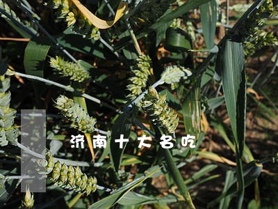 济南十大名吃 济南十大名吃