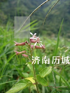 济南历城区债权债务律师收费 济南历城区债权债务律师收费