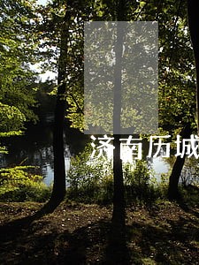 济南历城区洪家楼街道律师排行榜 济南历城区洪家楼街道律师排行榜