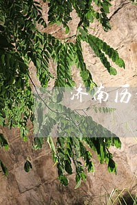 济南历城法院姬燕华