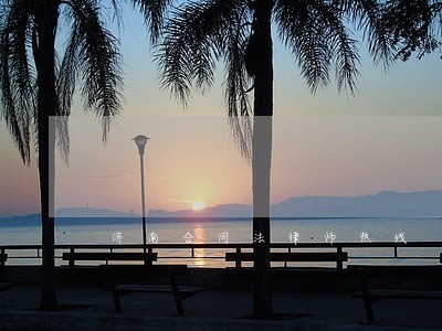 济南合同法律师热线