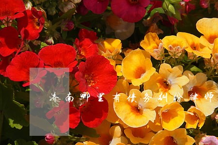 济南哪里有债务纠纷律师费用 济南哪里有债务纠纷律师费用