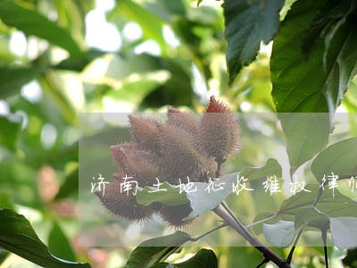 济南土地征收维权律师