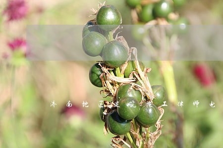 济南地区建筑施工律师电话咨询