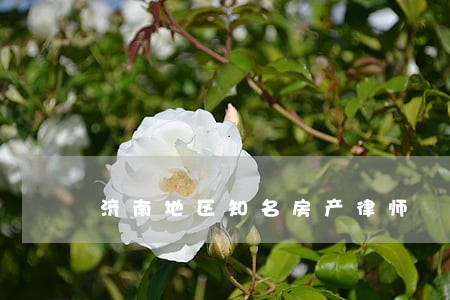 济南地区知名房产律师 济南地区知名房产律师