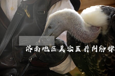 济南地区美容医疗纠纷律师费用 济南地区美容医疗纠纷律师费用