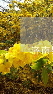 济南好口碑的房地产案件律师 济南好口碑的房地产案件律师