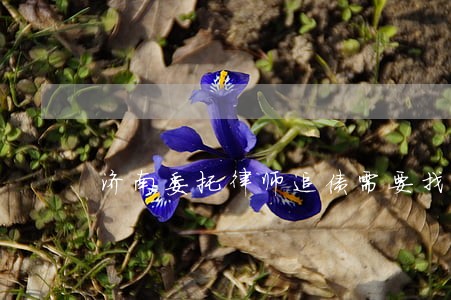 济南委托律师追债需要找律师吗 济南委托律师追债需要找律师吗