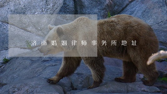 济南婚姻律师事务所地址 济南婚姻律师事务所地址