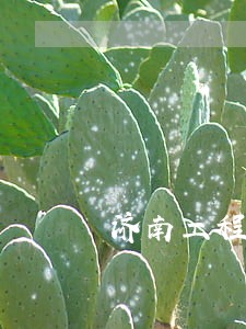 济南工程款拖欠纠纷律师费怎么算 济南工程款拖欠纠纷律师费怎么算