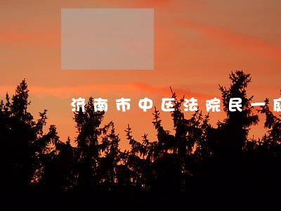 济南市中区法院民一庭 济南市中区法院民一庭