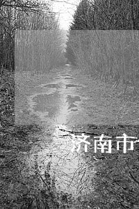 济南市信息公开的法律依据有哪些 济南市信息公开的法律依据有哪些