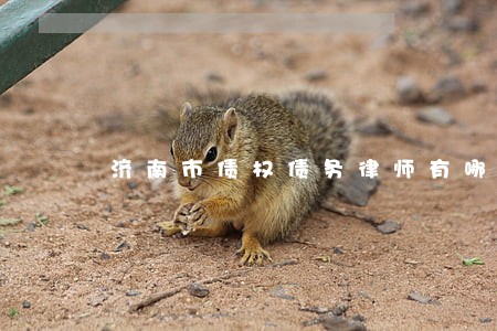 济南市债权债务律师有哪些 济南市债权债务律师有哪些