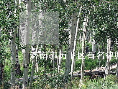 济南市历下区有名律师团队 济南市历下区有名律师团队