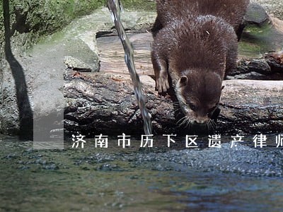 济南市历下区遗产律师在线咨询 济南市历下区遗产律师在线咨询